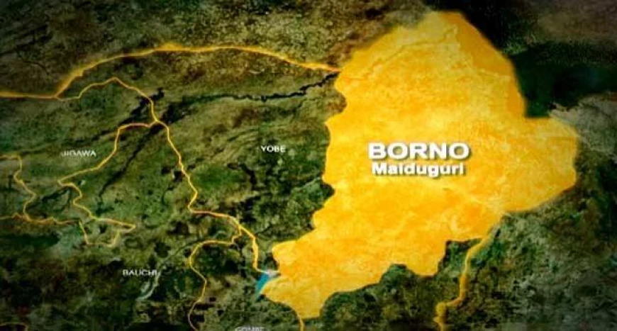 Borno APC gov candidate escapes death as terrorists ambush convoy