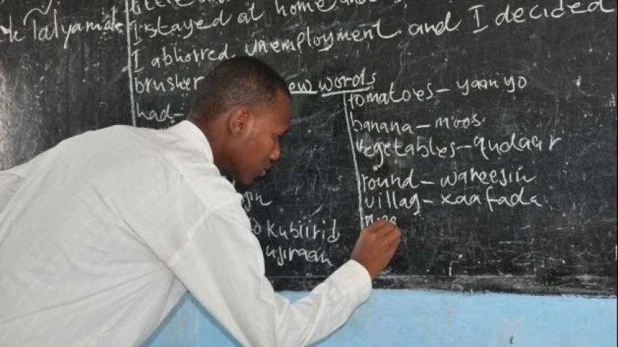 How BSc, HND, ND holders can apply for FG’s six-month teacher certification