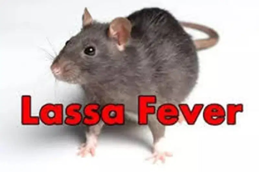 Lassa fever: NCDC urges Nigerians to step up prevention