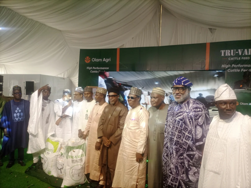 FG to ban open slaughter of livestock, pushes modern abattoirs
