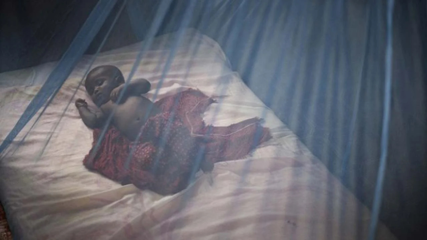 Nigeria starts local production of dual-active mosquito nets