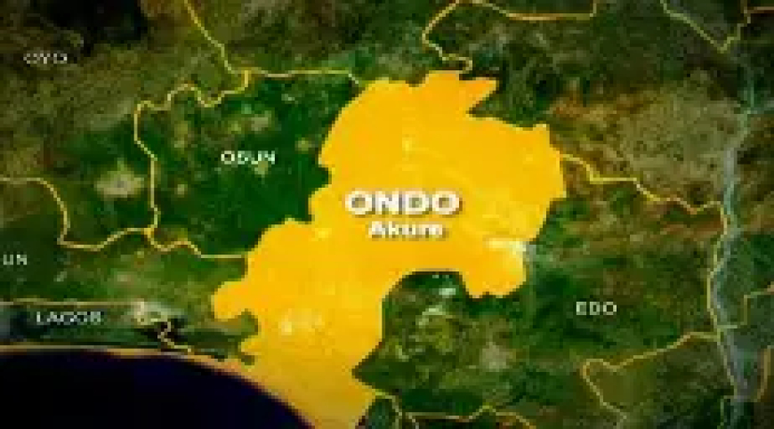 Suspected alcohol poisoning: Ondo govt confirms 29 deaths, 60 cases