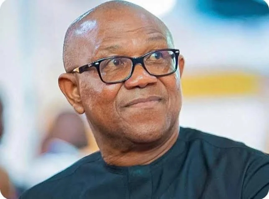 LP chieftain sues WAEC, UNN, NYSC over Obi’s credentials