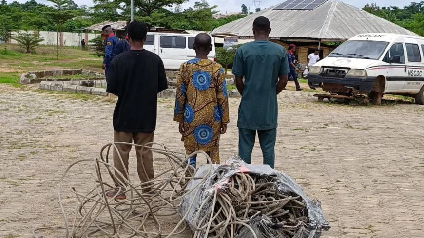 NSCDC nabs father, son for electricity cable theft in Osun