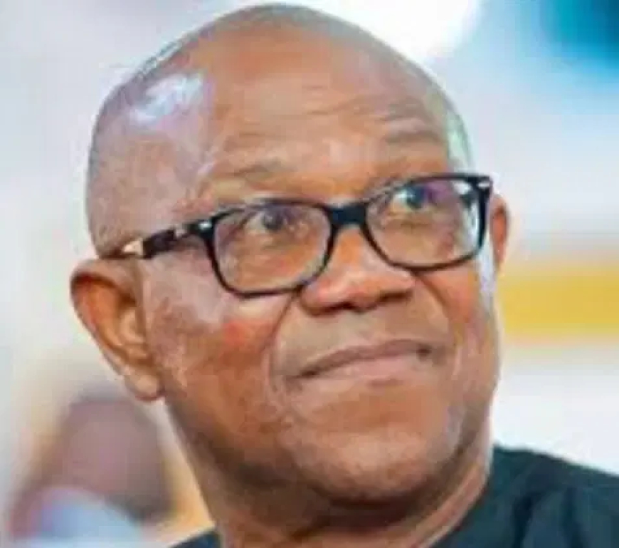 Gov Peter Obi and record of public debt in Anambra
