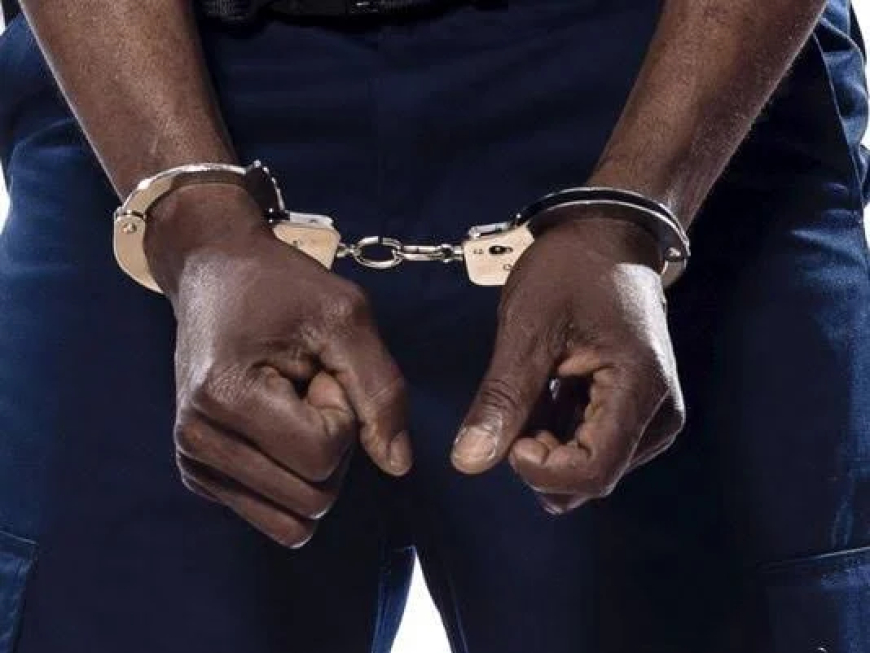 Turkey arrests refereeing chief, six others over fraud