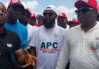 APC network secretariat