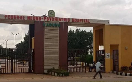 Kaduna Psychiatric Hospital rolls out virtual consultations for patients