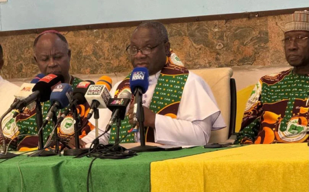 CAN will criticise government when necessary, says president