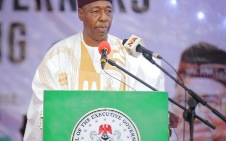 Zulum urges FG to revive oil exploration in Borno