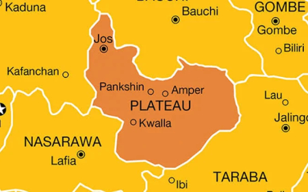 Two feared killed in Plateau mining site attack