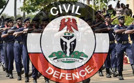 Insecurity: NSCDC warns against misinformation, propaganda