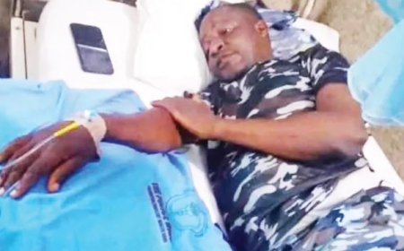 Police probe alleged assault of Gombe Inspector by Area Commander