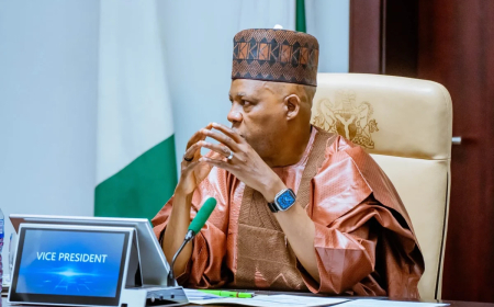 NUPRC @5: My friend got oil block without political connections – Shettima