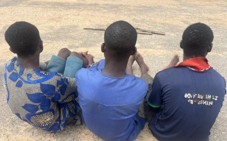Family of 6 killed in Oyo over damaged phone as police parade suspects