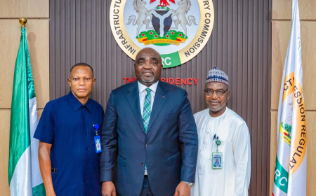 FG to raise Niger power plant output to 700MW