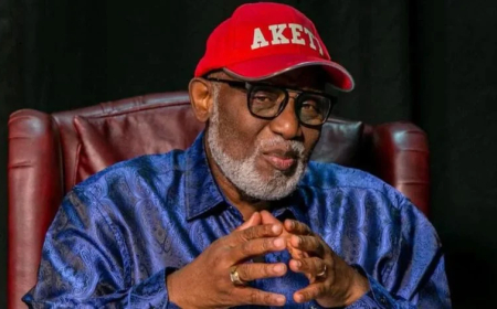 Akeredolu’s advocacy continues to shape state police debate – Aiyedatiwa