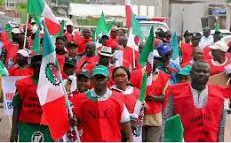 Labour gives FG two-week ultimatum to revert petrol price to 2024 level