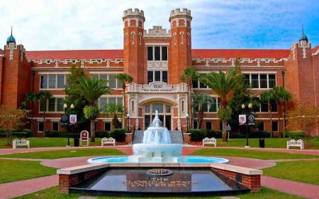 2027 Florida State University Scholarship in USA | Fully Funded