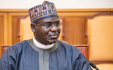 $1bn arms fund went to defence ministry, not me — Ex-COAS Buratai