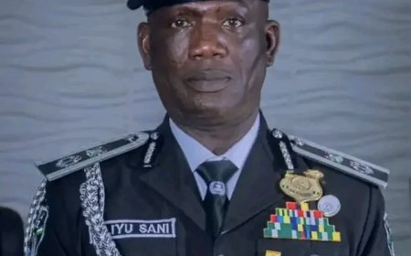 Police arrest two men for thuggery, public disturbance in Bauchi