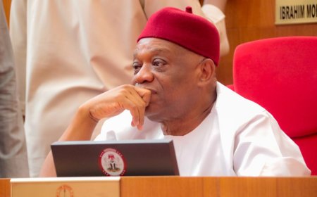 SEDC must operate from South-East, Kalu insists