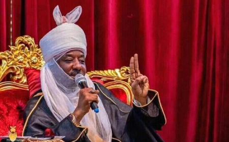 Emir Sanusi urges Nigerians to diversify finances, unveils Halal fund