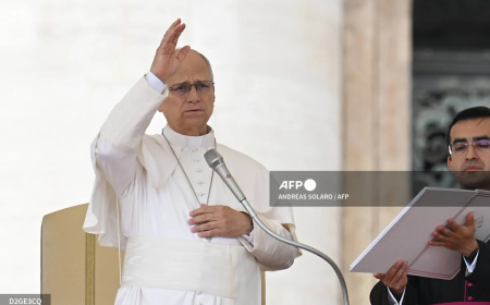 Pope’s lung surgery successful – Vatican