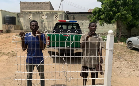 Kano security corps arrests two over vandalism