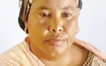 Borno woman jailed two years for sexual assault