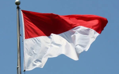Four die battling wildfire in Indonesian national park