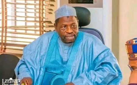 Bauchi health agency boss, four children die in car crash