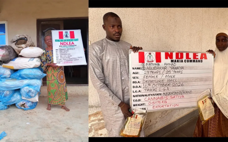 NDLEA intercepts Saudi-bound cannabis in palm oil keg, ₦6.98bn tramadol