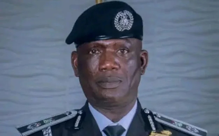 Police arrest 17 over violent witchcraft allegation in Bauchi