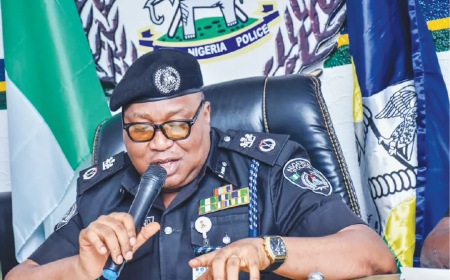 How Kwara police nabbed child abuse, murder, kidnap suspects