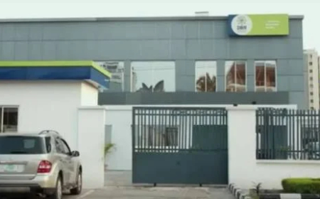 Development bank disburses N1.4tn to MSMEs, supports 1.6 million jobs