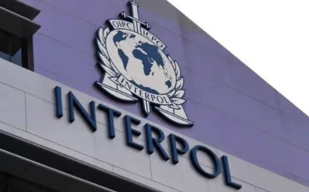 INTERPOL arrests two cybercrime suspects in Nigeria