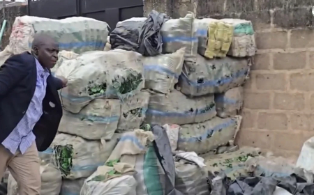 NAFDAC uncovers building storing bottles for fake alcohol in Lagos