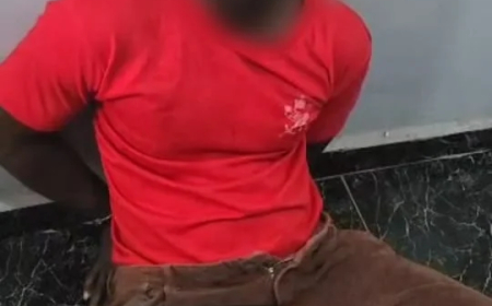Police arrest Delta school bus driver over minor’s kidnapping, assault