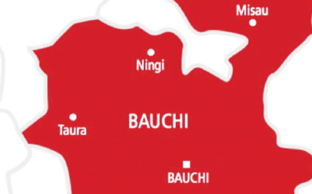 Stepmother, 19-year-old arrested over Bauchi children’s deaths