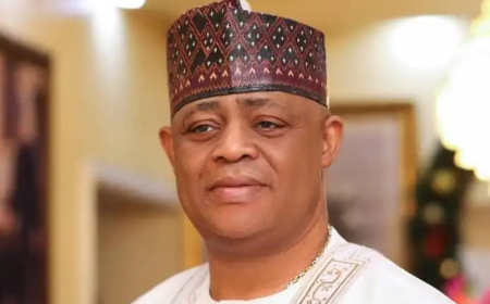 Fix passport delays, curb xenophobia, Nigerians in S’Africa urge Fani-Kayode