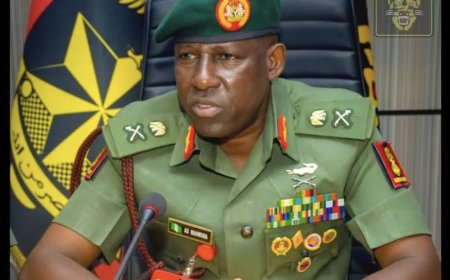 Army chief visits Oyo National Park