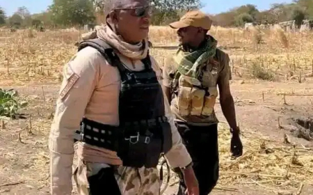 Troops kill 44 terrorists, scores injured in separate offensive in Borno