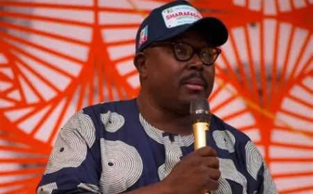 Alli faults Makinde as doctors strike grounds hospitals