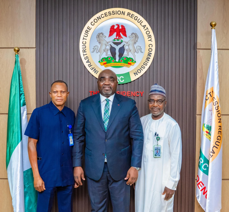 FG to raise Niger power plant output to 700MW