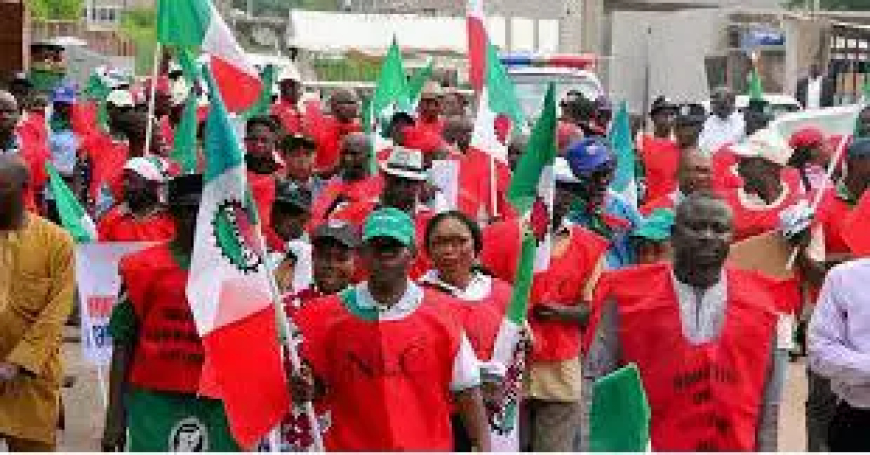 Labour gives FG two-week ultimatum to revert petrol price to 2024 level