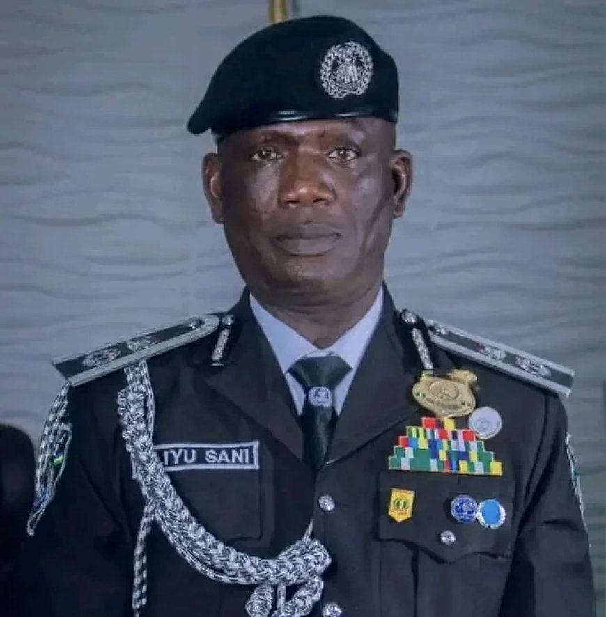 Police arrest two men for thuggery, public disturbance in Bauchi