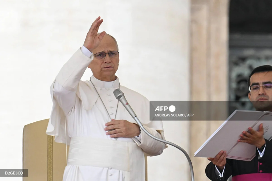 Pope’s lung surgery successful – Vatican