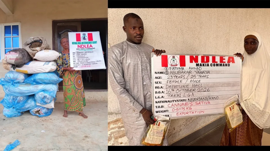 NDLEA intercepts Saudi-bound cannabis in palm oil keg, ₦6.98bn tramadol