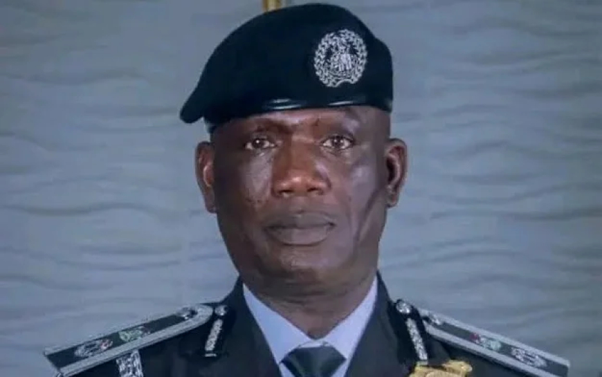 Police arrest 17 over violent witchcraft allegation in Bauchi